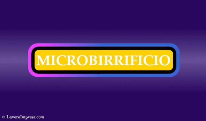 Microbirrifici