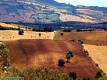 Aprire un agriturismo