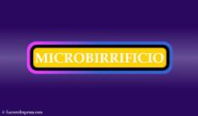Microbirrifici